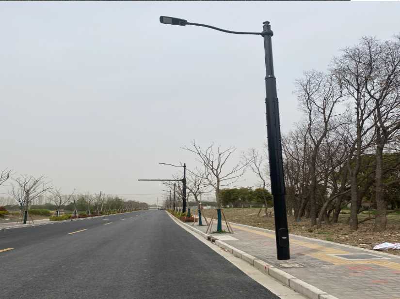 诸城市上海综合杆 太阳能路灯工程